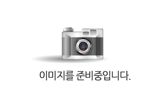 이미지를 준비중입니다.